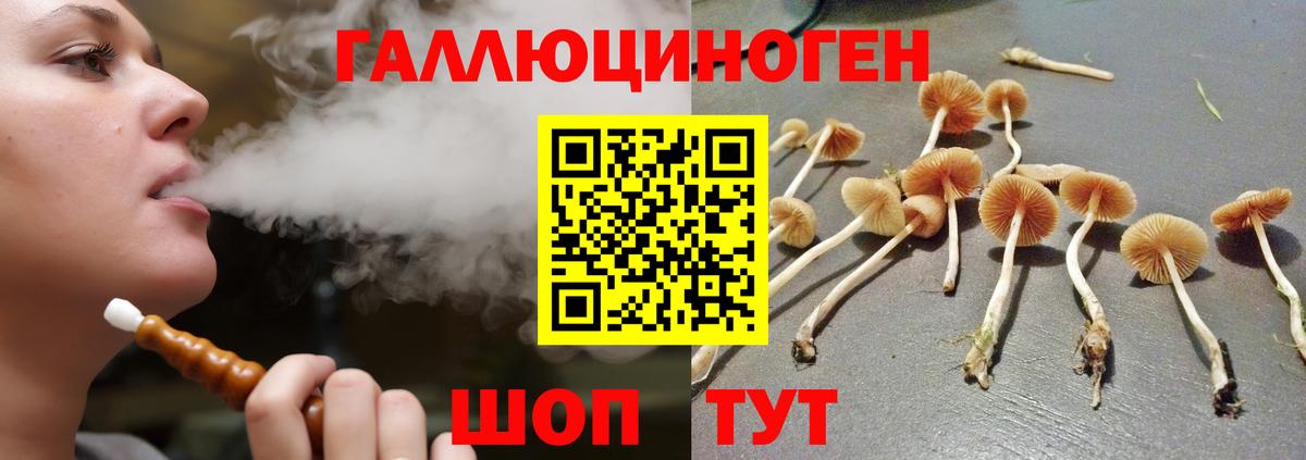 Псилоцибиновые грибы мицелий Белорецк
